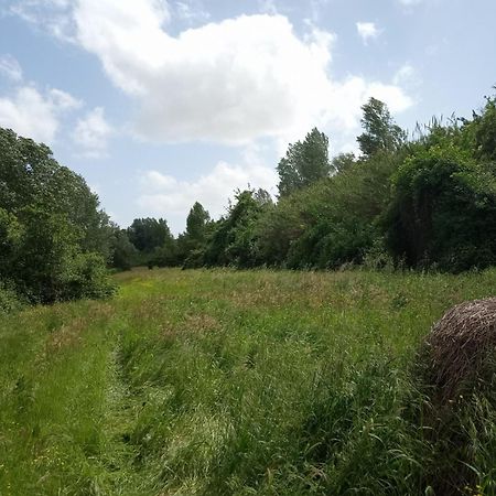 Az.Agricola Agriturismo La Locanda Di Lann Daire Fucecchio Dış mekan fotoğraf