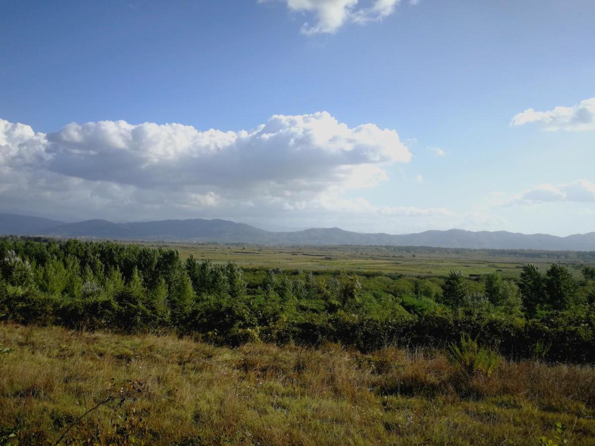 Az.Agricola Agriturismo La Locanda Di Lann Daire Fucecchio Dış mekan fotoğraf