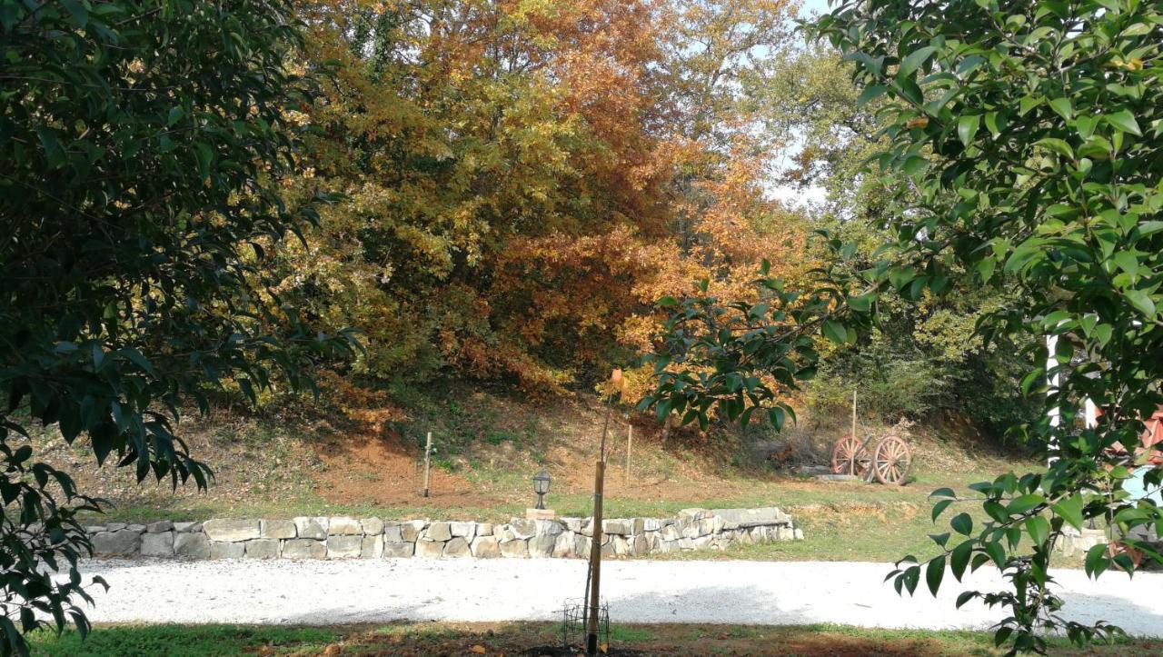 Az.Agricola Agriturismo La Locanda Di Lann Daire Fucecchio Dış mekan fotoğraf
