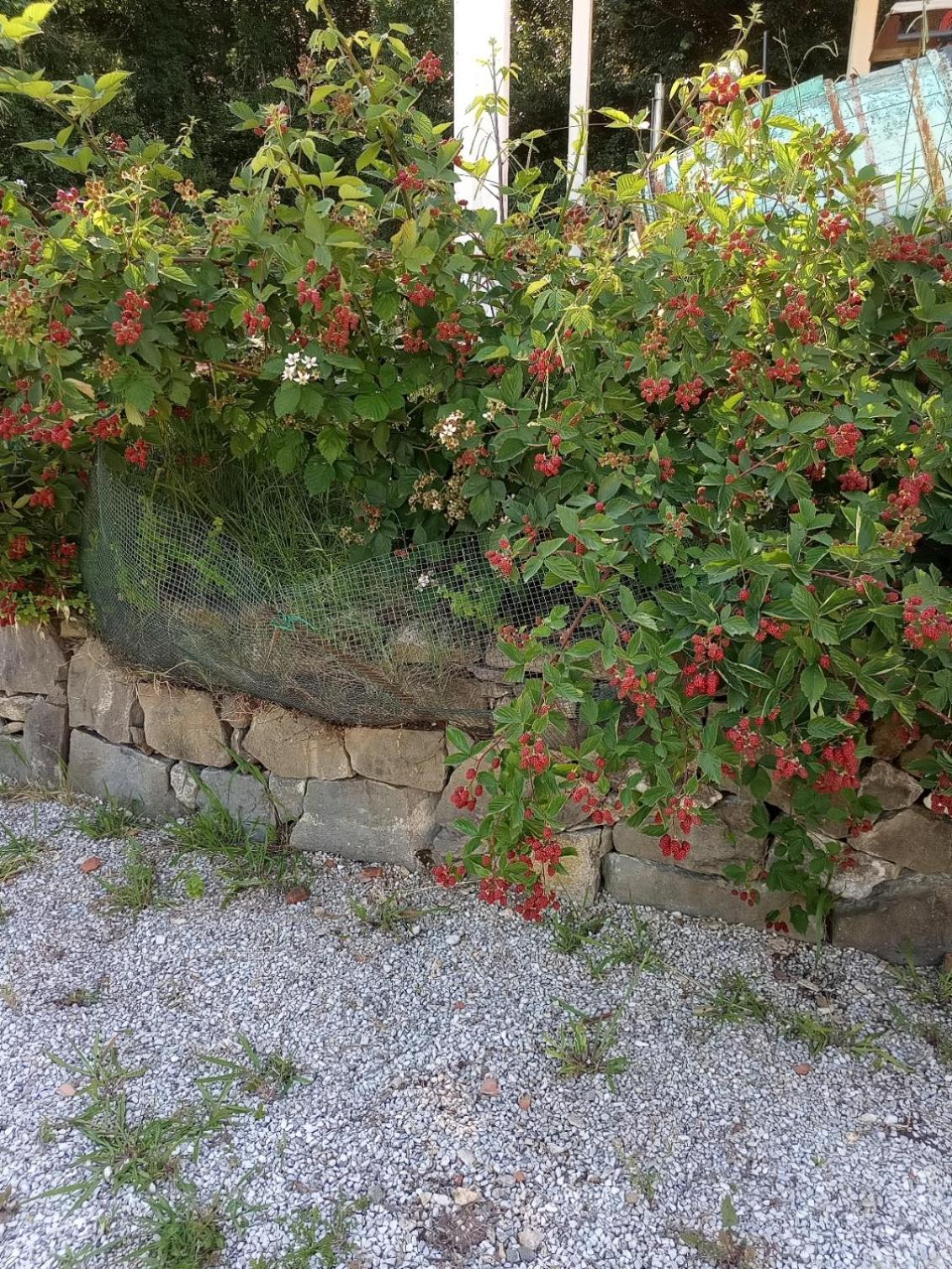 Az.Agricola Agriturismo La Locanda Di Lann Daire Fucecchio Dış mekan fotoğraf